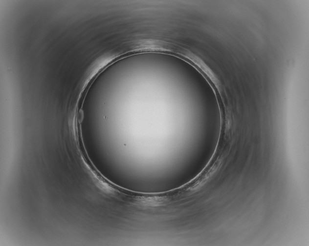 X0000112391293200908131541