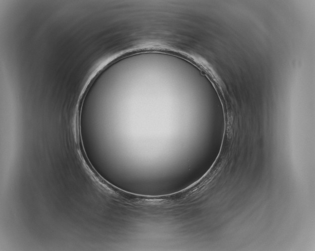 X0000112391295200908131541