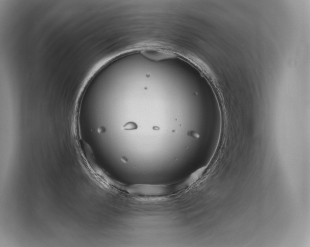 X0000112391296200908131541