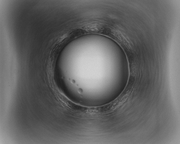 X0000112391297200908131541