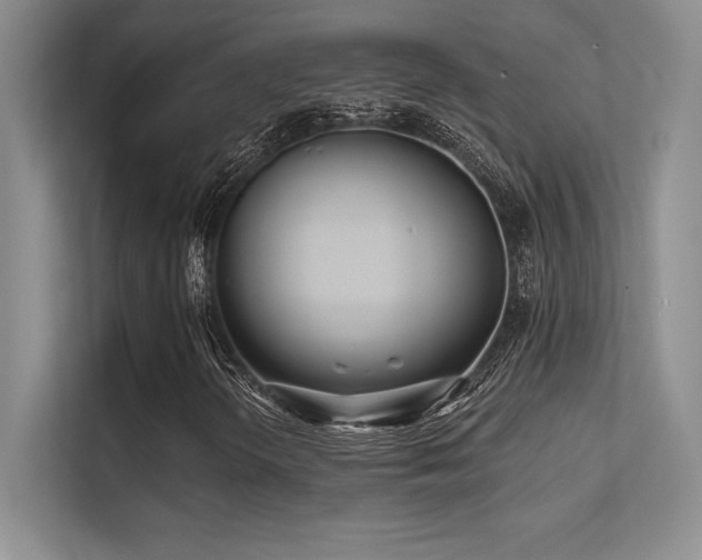 X0000112391298200908131541