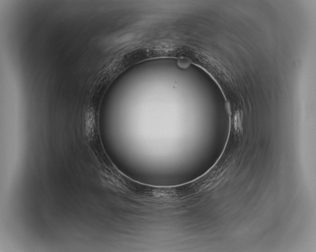 X0000112391299200908131541