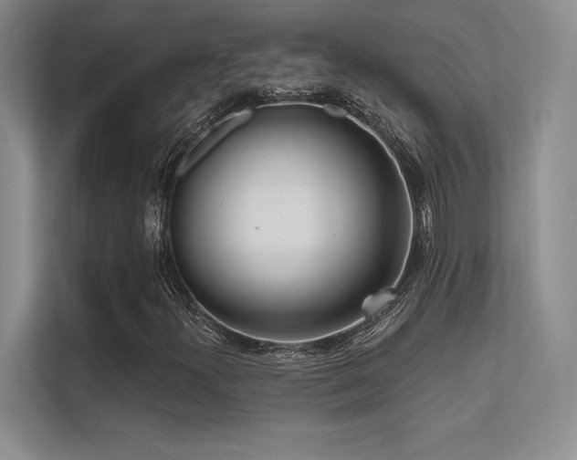 X0000112391300200908131541