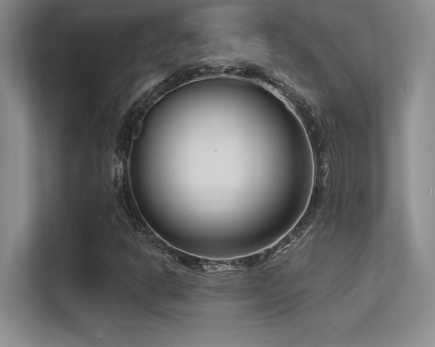 X0000112391302200908131541