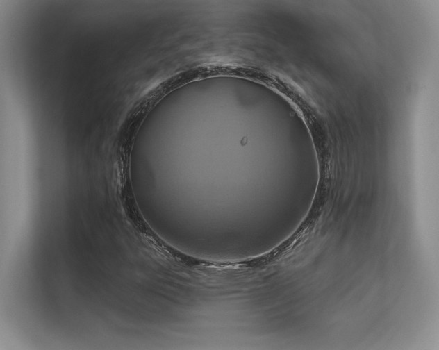 X0000112391303200908131541