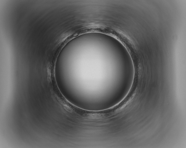 X0000112391305200908131541