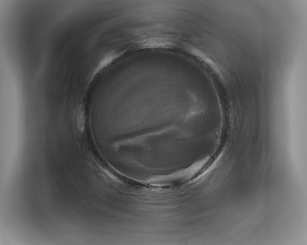 X0000112391306200908131541