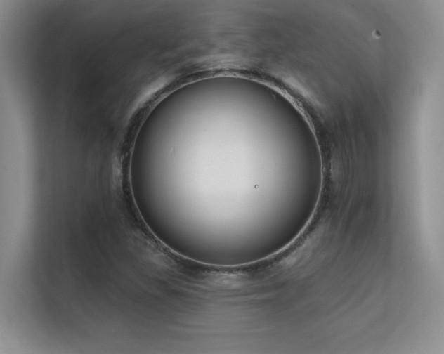 X0000112391309200908131541