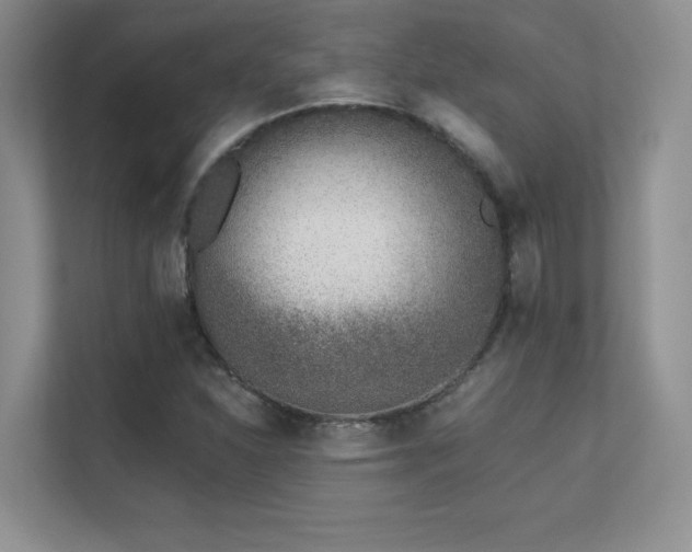 X0000112391310200908131541