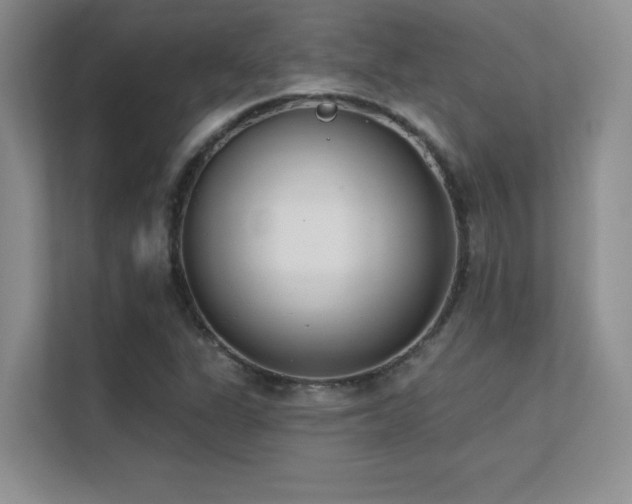 X0000112391311200908131541