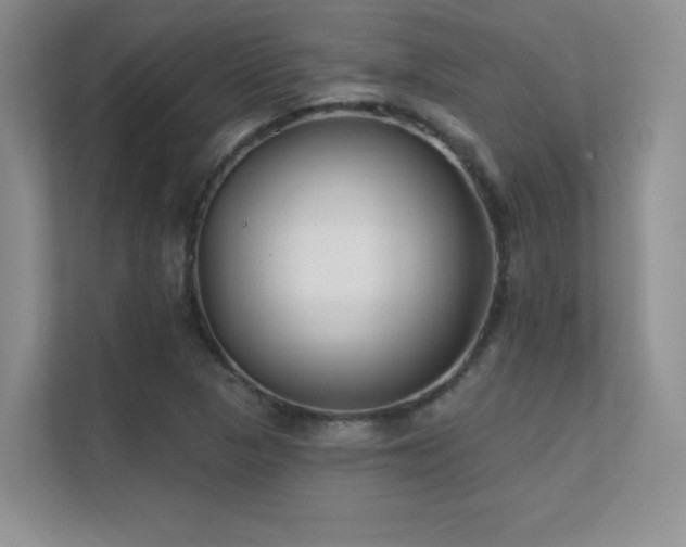 X0000112391313200908131541