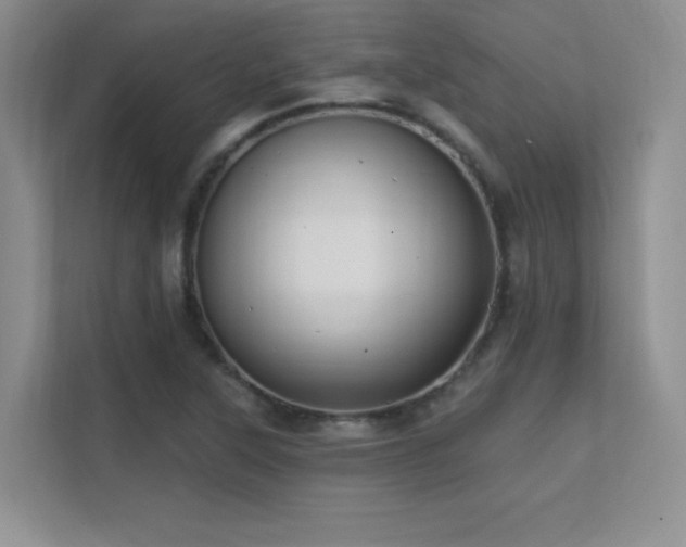 X0000112391315200908131541