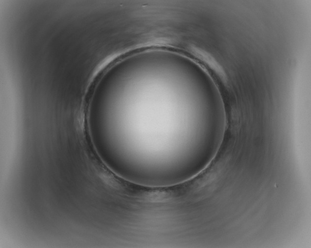 X0000112391316200908131541