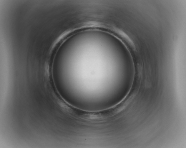 X0000112391318200908131541