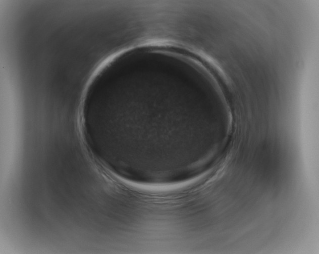 X0000112391319200908131541