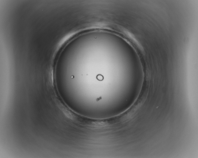 X0000112391320200908131541