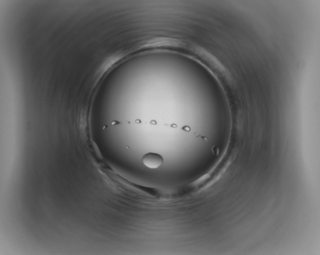 X0000112391321200908131541