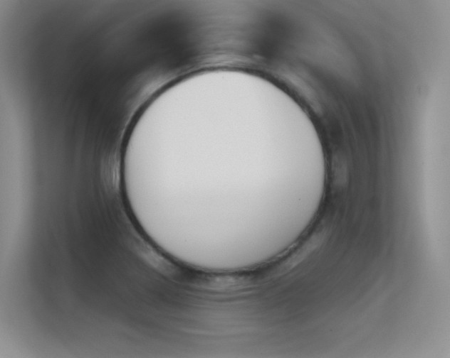 X0000112391322200908131541