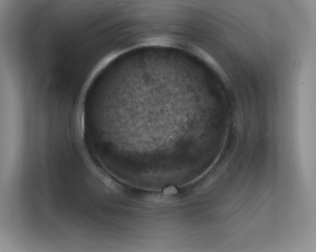 X0000112391323200908131541