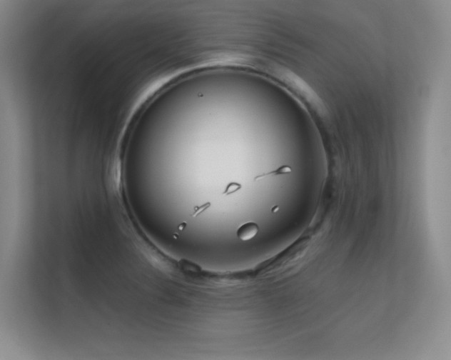 X0000112391324200908131541