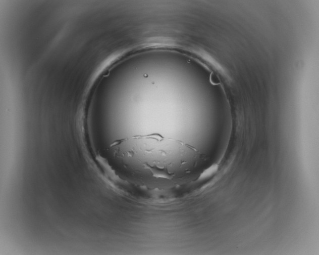 X0000112391325200908131541