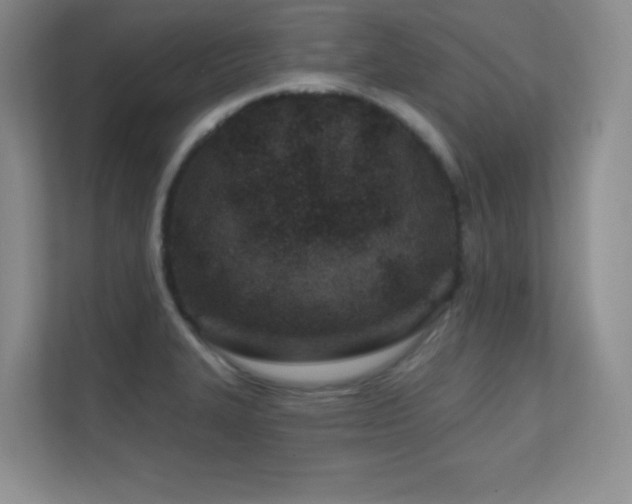 X0000112391327200908131541