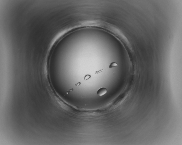 X0000112391328200908131541