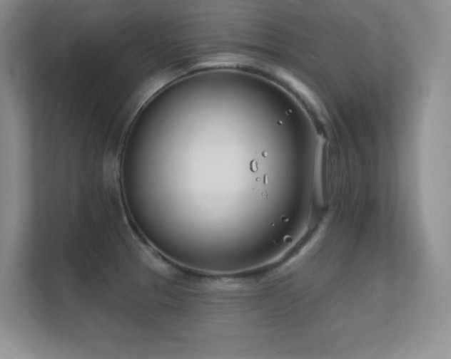 X0000112391329200908131541