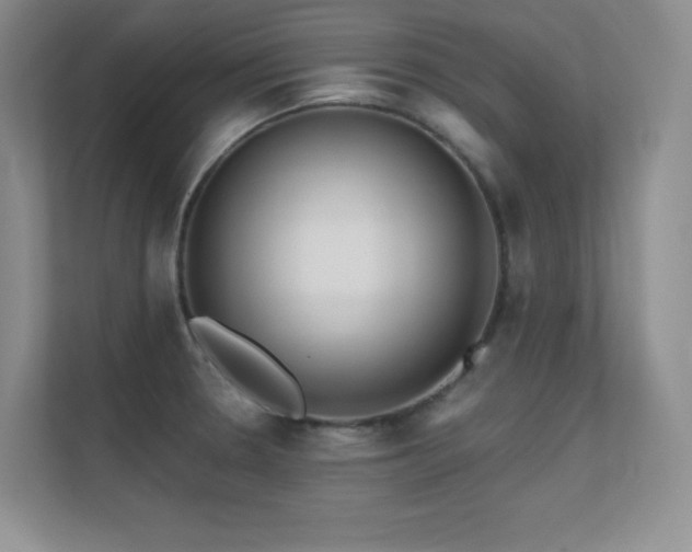 X0000112391330200908131541