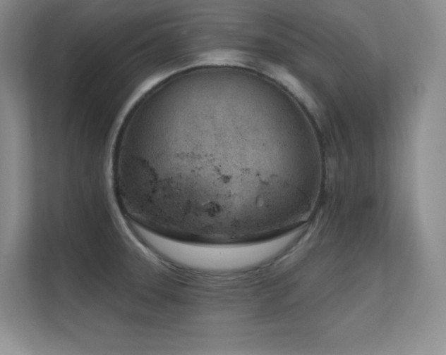 X0000112391331200908131541