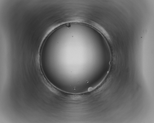 X0000112391332200908131541