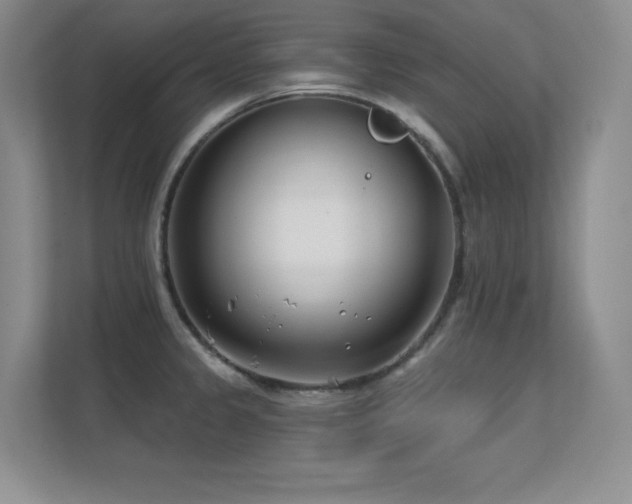 X0000112391333200908131541