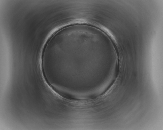 X0000112391334200908131541