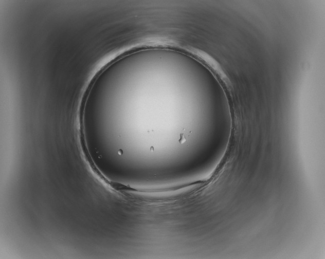 X0000112391335200908131541