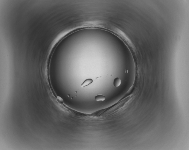 X0000112391336200908131541