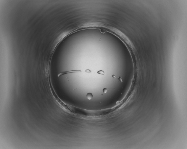 X0000112391337200908131541