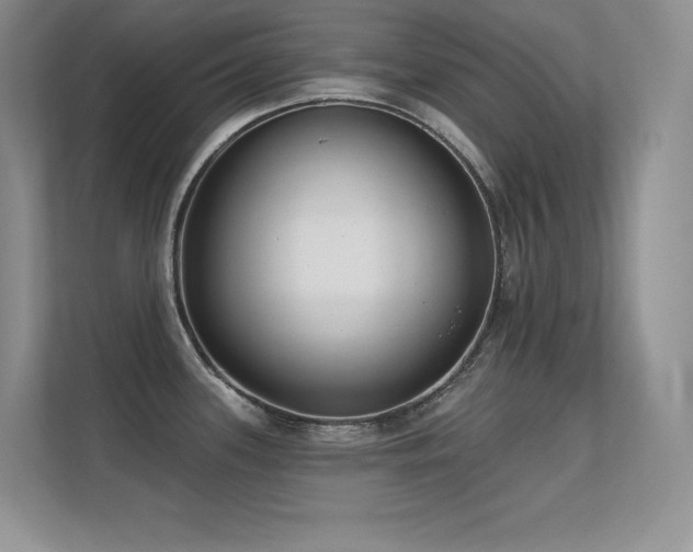 X0000112391339200908131541