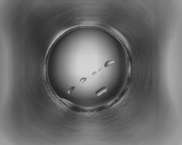 X0000112391340200908131541