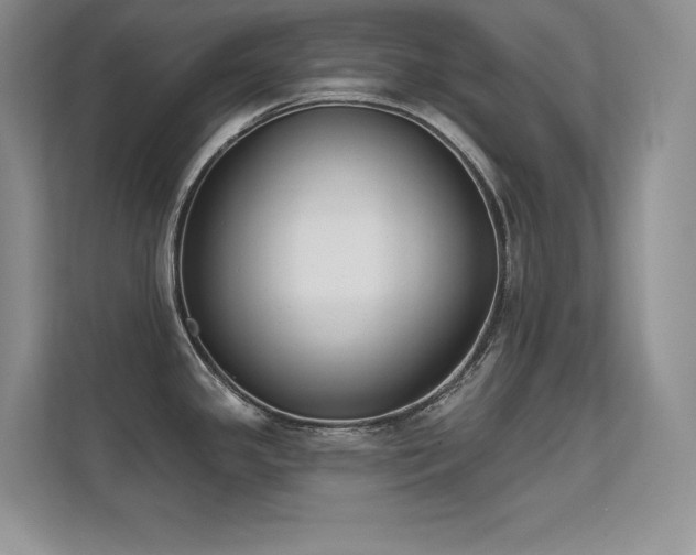 X0000112391341200908131541