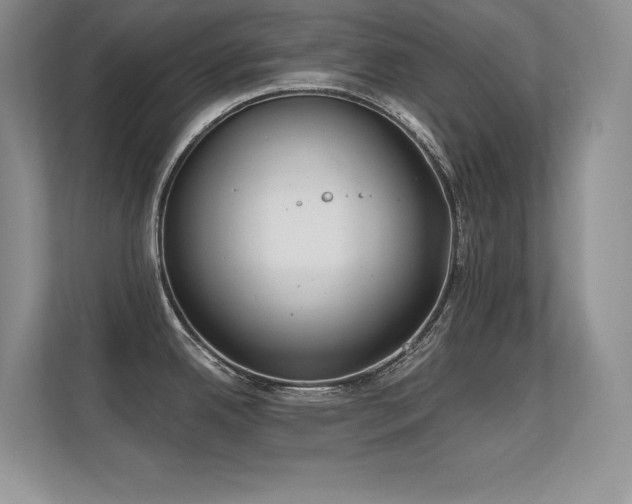 X0000112391342200908131541