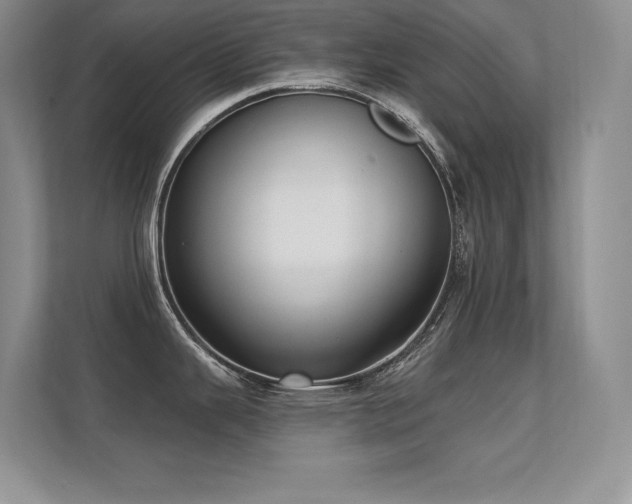 X0000112391343200908131541