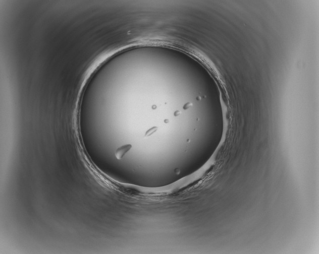 X0000112391344200908131541