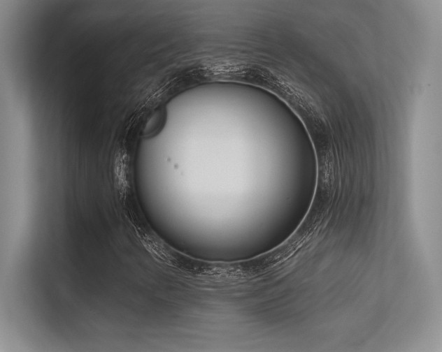 X0000112391346200908131541