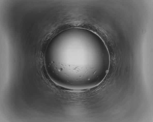 X0000112391349200908131541