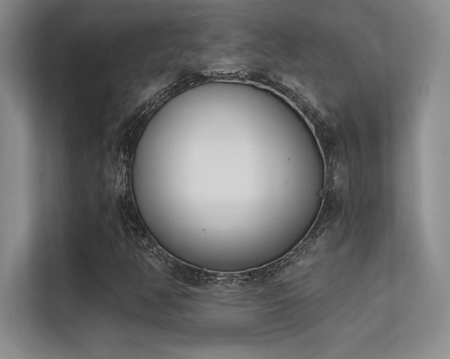 X0000112391350200908131541