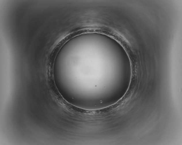 X0000112391352200908131541