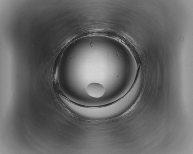 X0000112391353200908131541