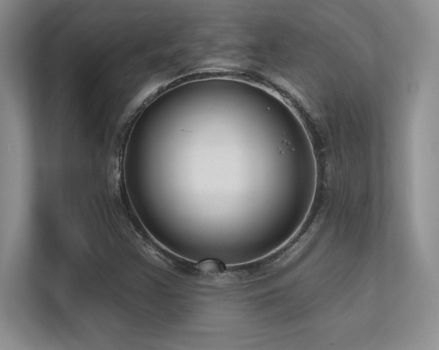 X0000112391355200908131541