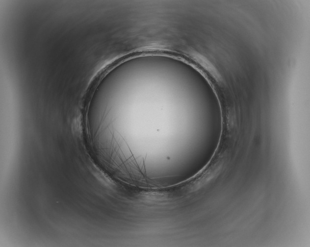 X0000112391356200908131540