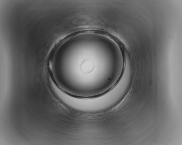 X0000112391357200908131540